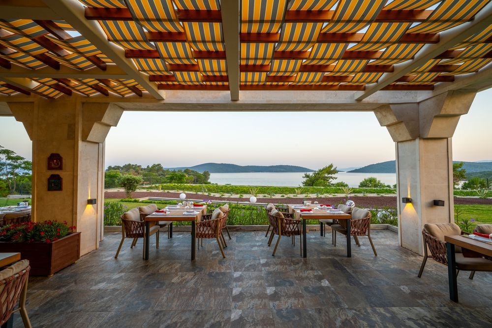 Картинка отеля - 21