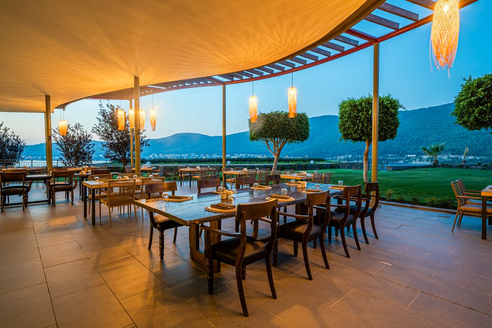 Картинка отеля - 11