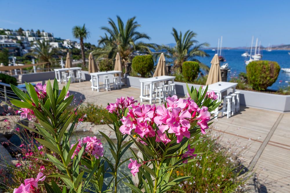 Diamond of Bodrum - 21