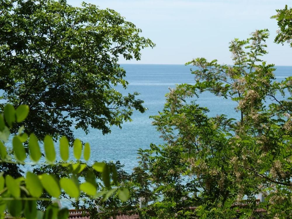 Картинка отеля - 23