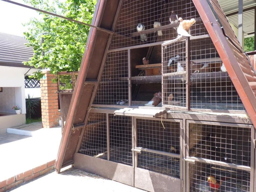 Картинка отеля - 24