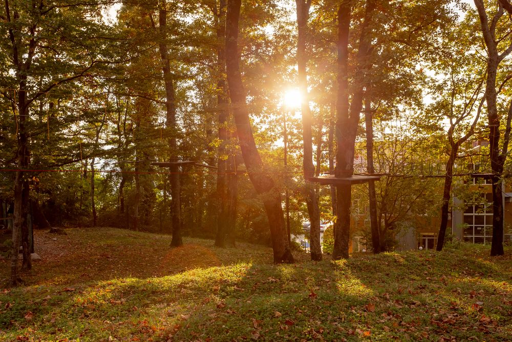 Картинка отеля - 48