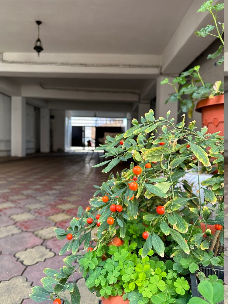 МАРТЛЕН, гостевой дом  - 13