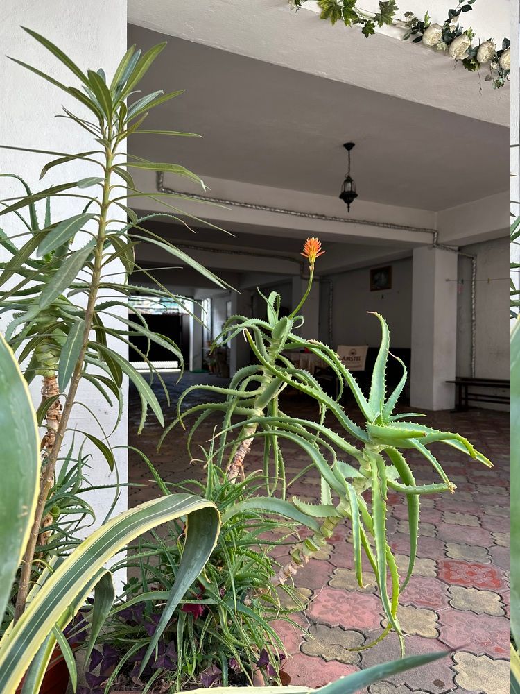 МАРТЛЕН, гостевой дом  - 11