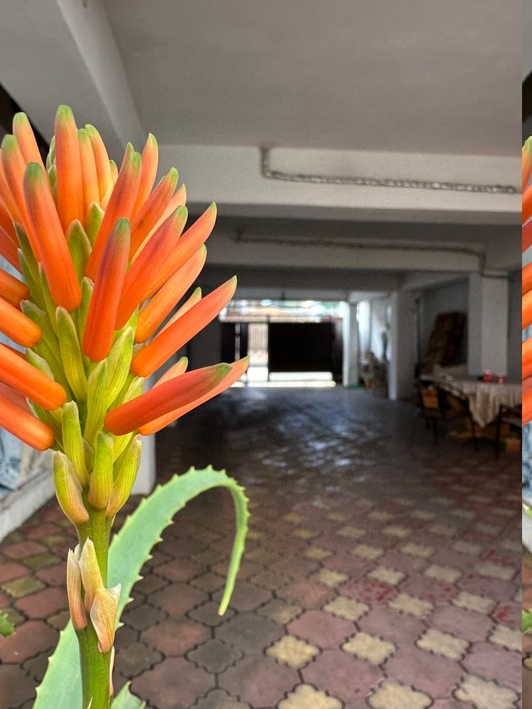 МАРТЛЕН, гостевой дом  - 10