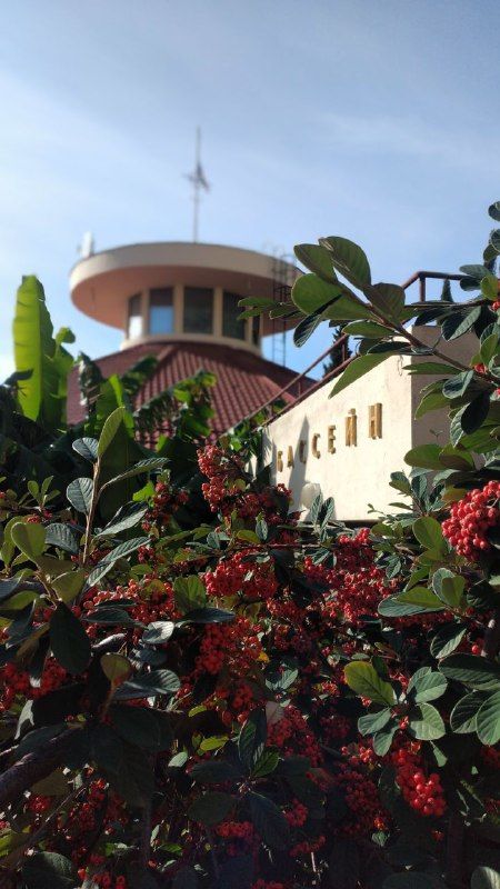 ДИВНЫЙ, Оздоровительный Комплекс - 4