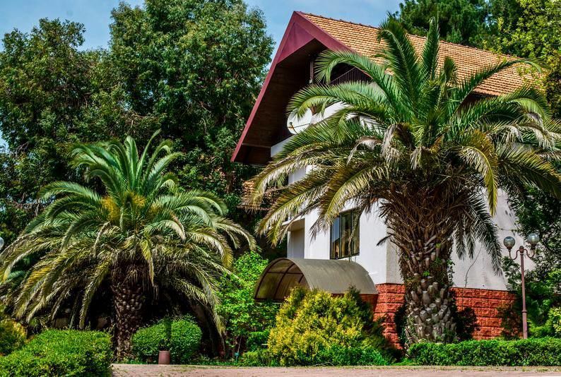 ДИВНЫЙ, Оздоровительный Комплекс - 10