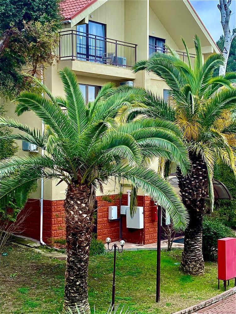 ДИВНЫЙ, Оздоровительный Комплекс - 11