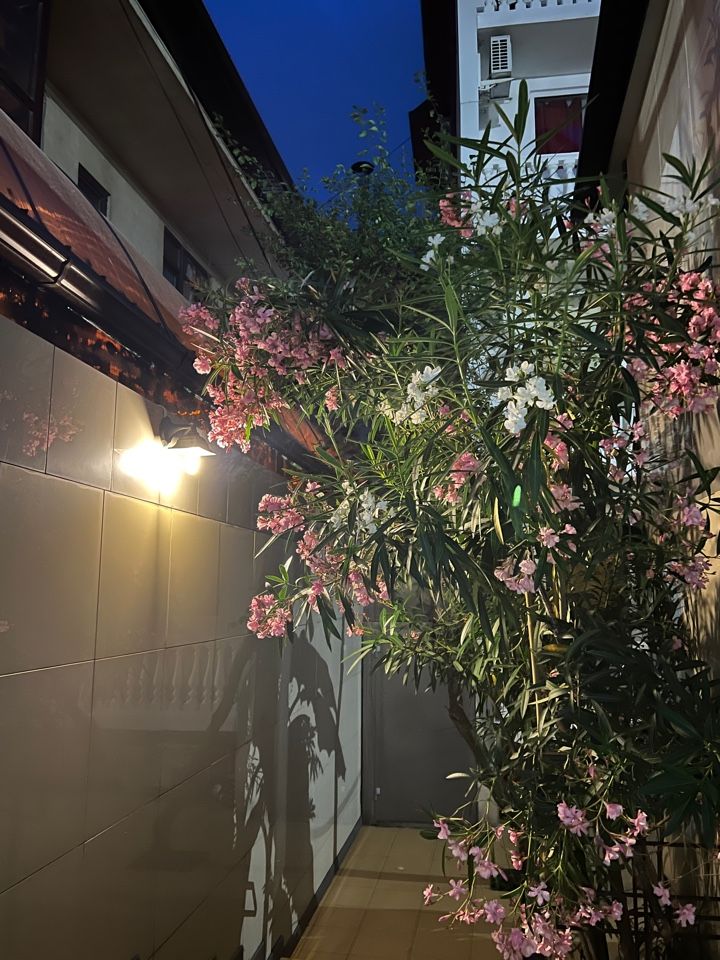 Картинка отеля - 21