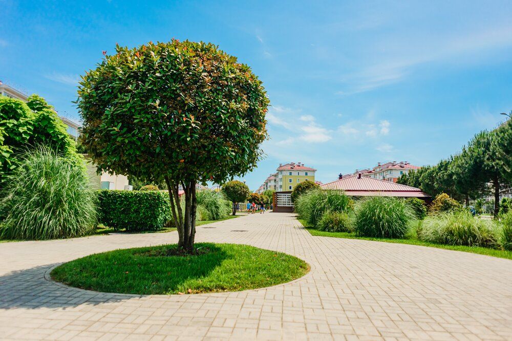 ГОРОД-ОТЕЛЬ БАРХАТНЫЕ СЕЗОНЫ, квартал Спортивный - 17