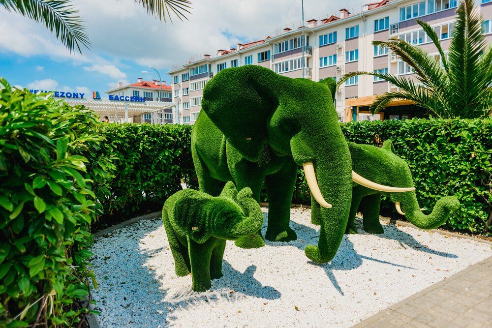 Картинка отеля - 15