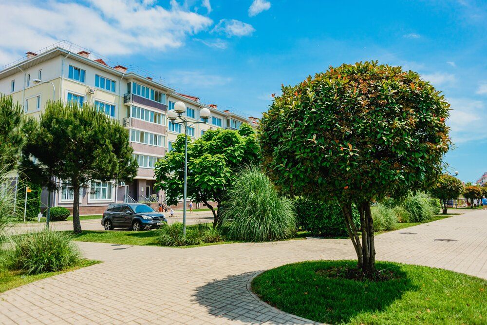 Картинка отеля - 14