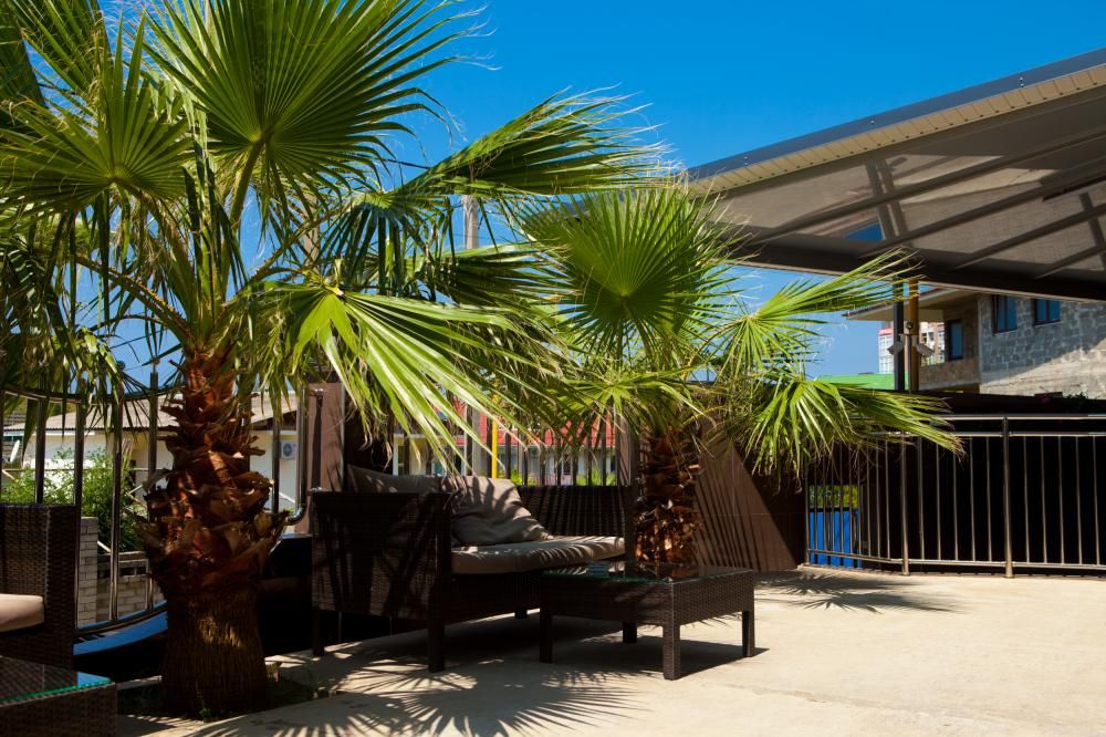 ENCINO, гостевой дом - 15