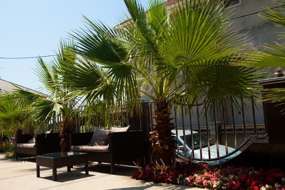 ENCINO, гостевой дом - 14