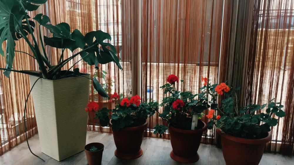 АлАдАн-Вардане, гостевой дом - 8