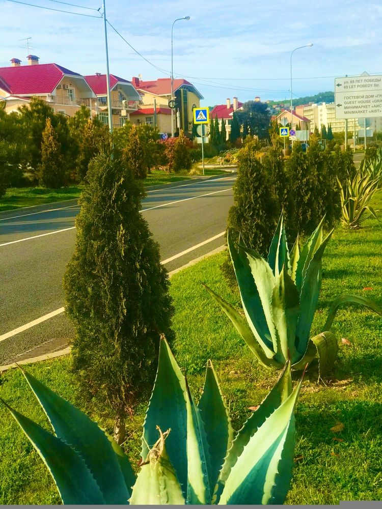 Картинка отеля - 16