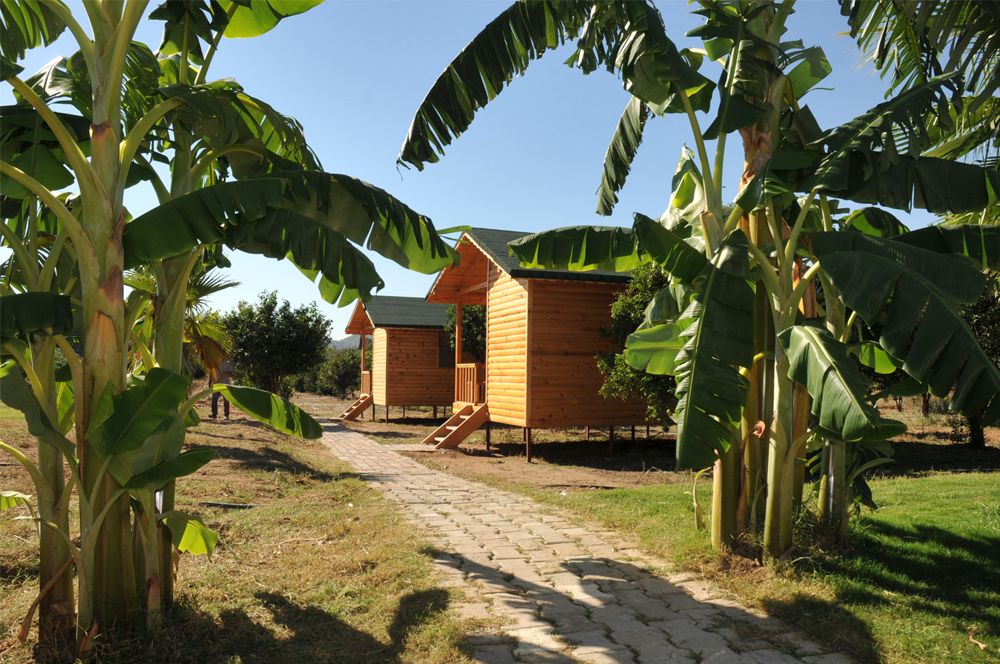 Elamir Resort Hotel - 54