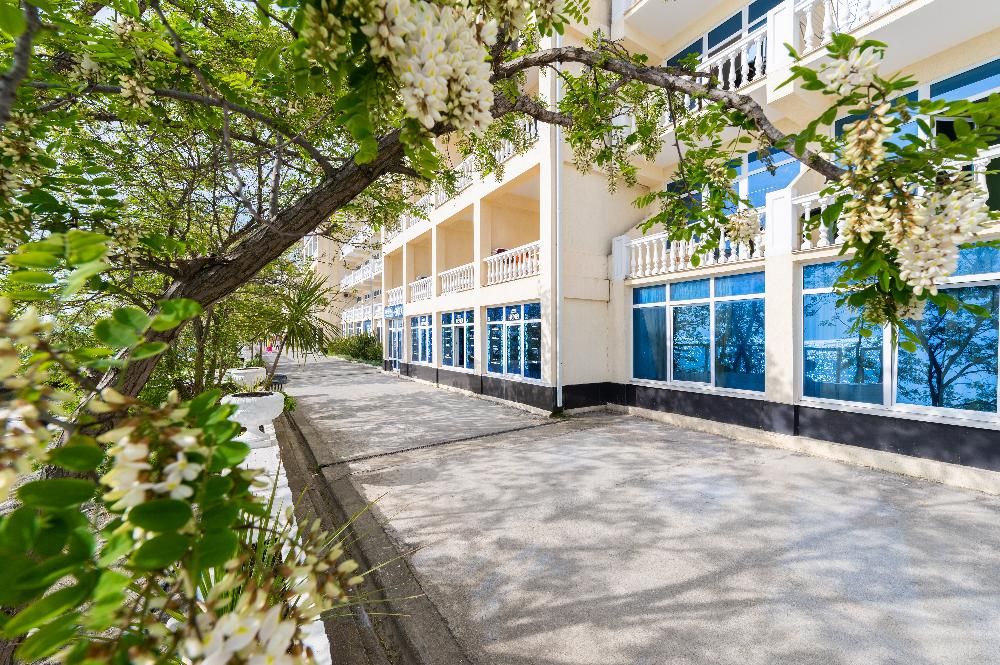 Картинка отеля - 12