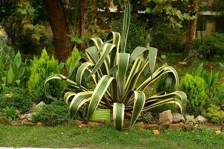 БУРГАС, пансионат (лечение с 5 лет) - 7