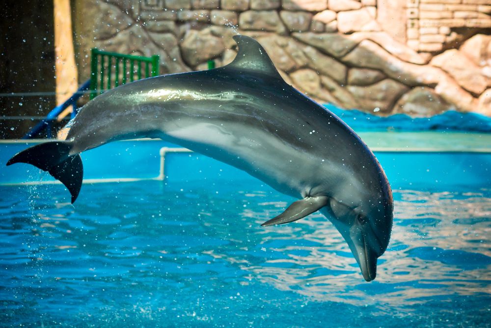 Картинка отеля - 36