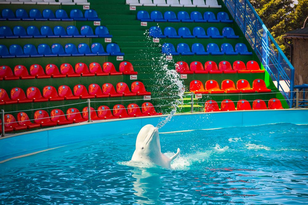 Картинка отеля - 35