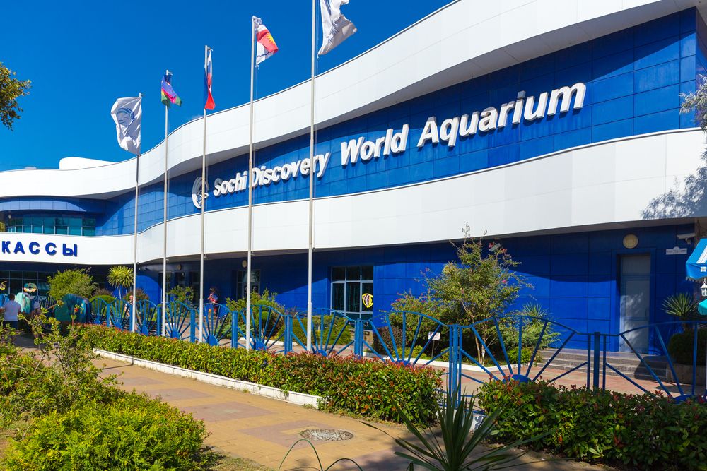 Картинка отеля - 32