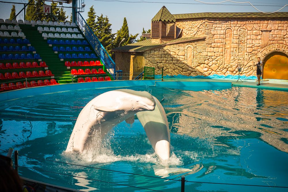 Картинка отеля - 41