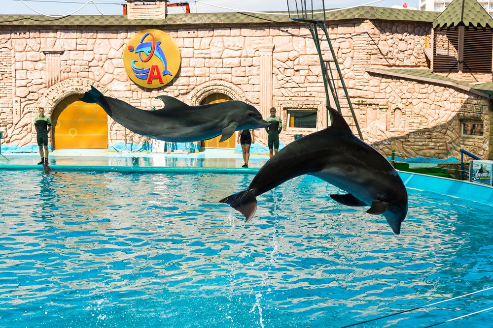 Картинка отеля - 42