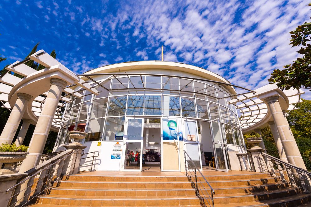 АДЛЕРКУРОРТ, санаторий (корп. КОРАЛЛ) - 32