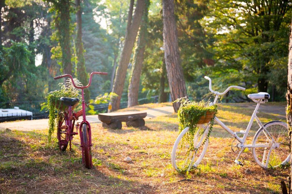 Картинка отеля - 33