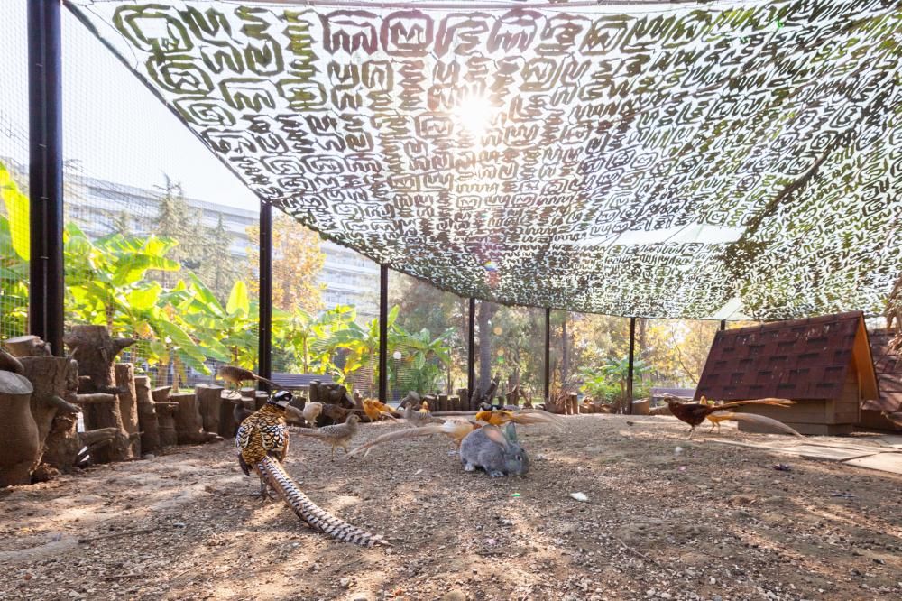 Картинка отеля - 38