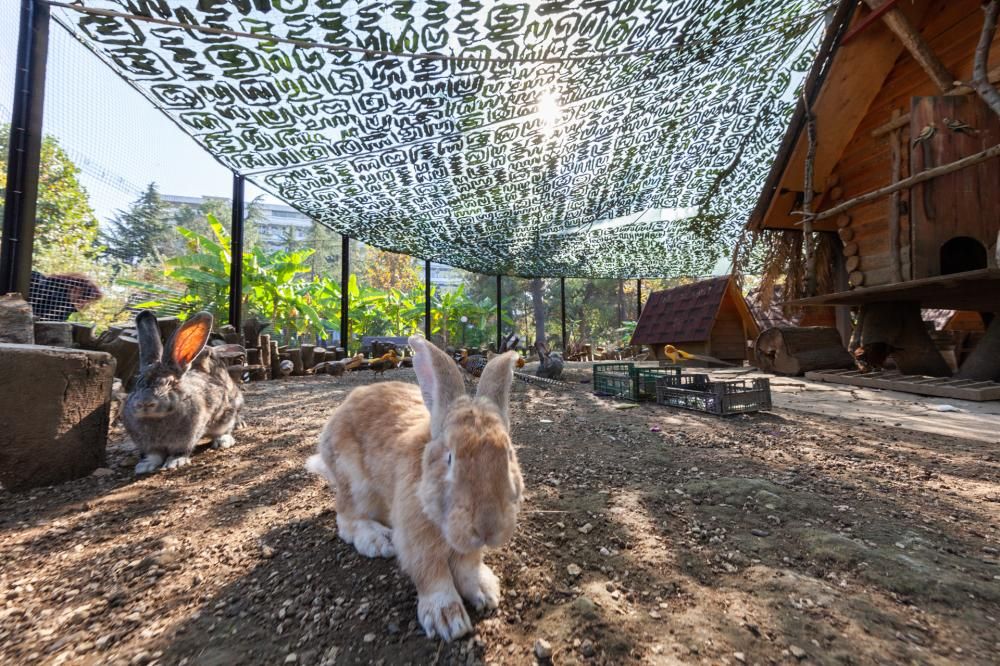 Картинка отеля - 39