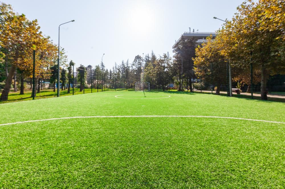 Картинка отеля - 23