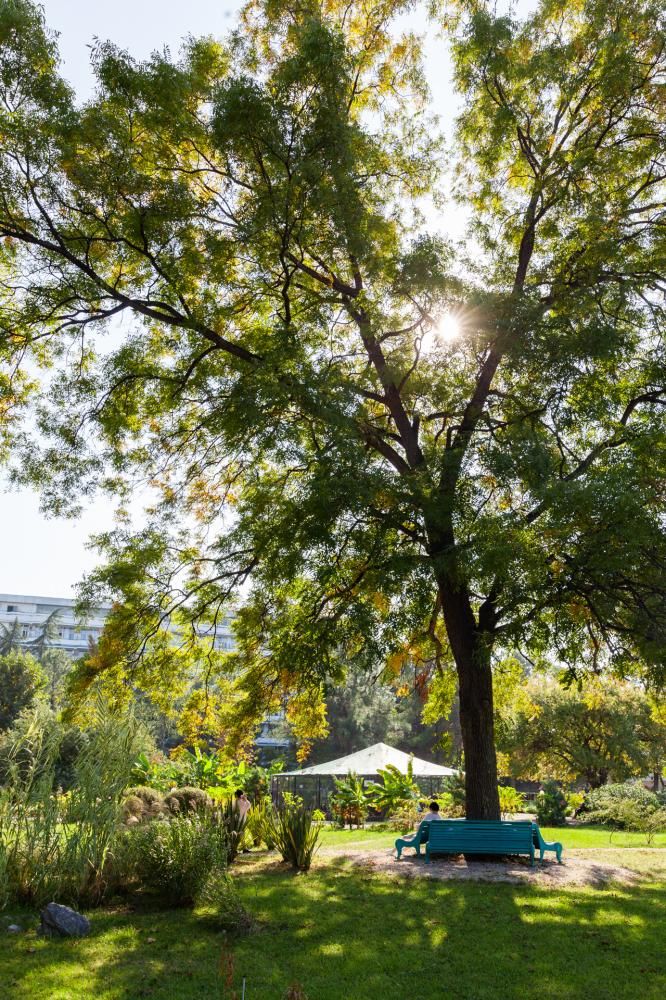 Картинка отеля - 3