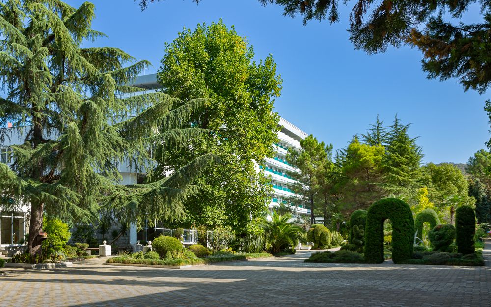 Картинка отеля - 54