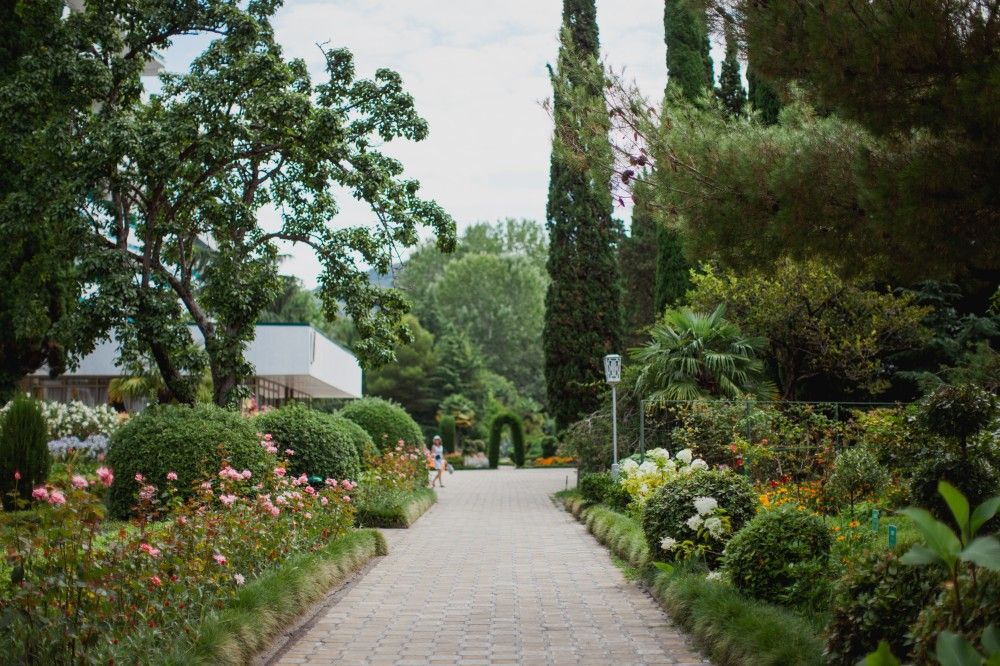 Картинка отеля - 59