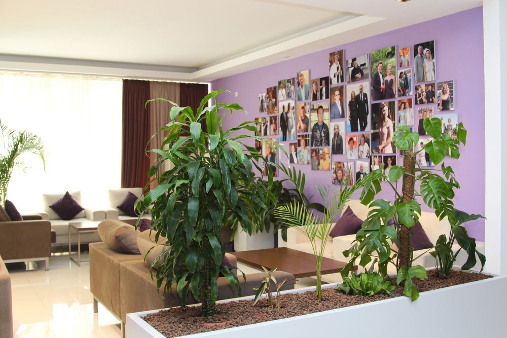 Картинка отеля - 3