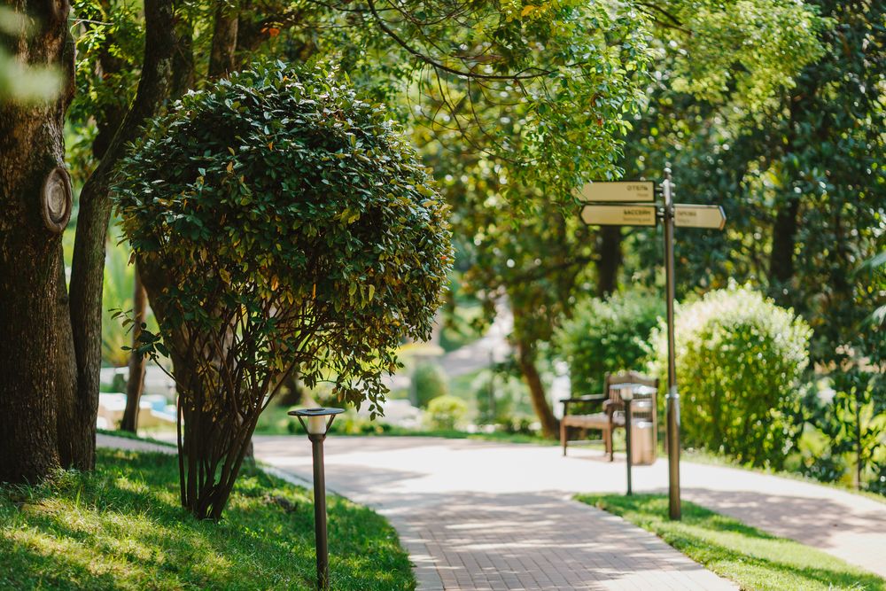 Картинка отеля - 7