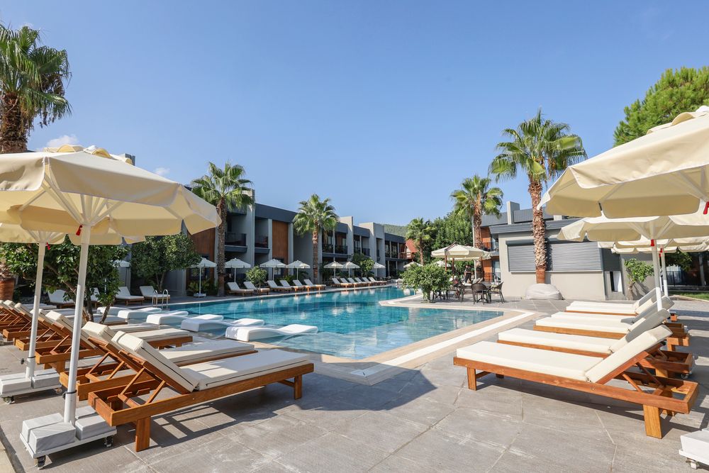 Картинка отеля - 12