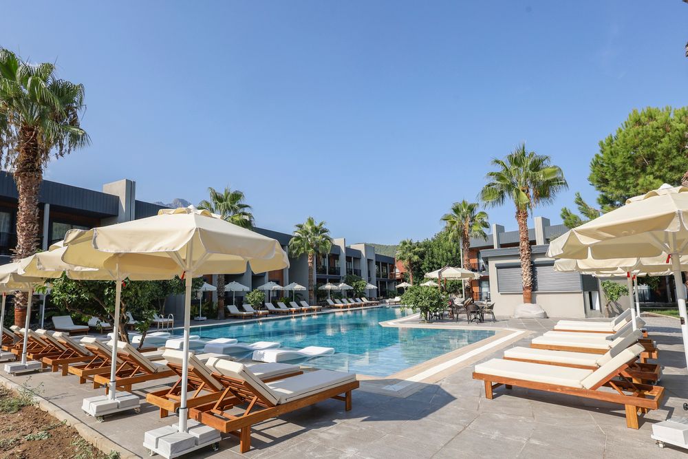 Картинка отеля - 11