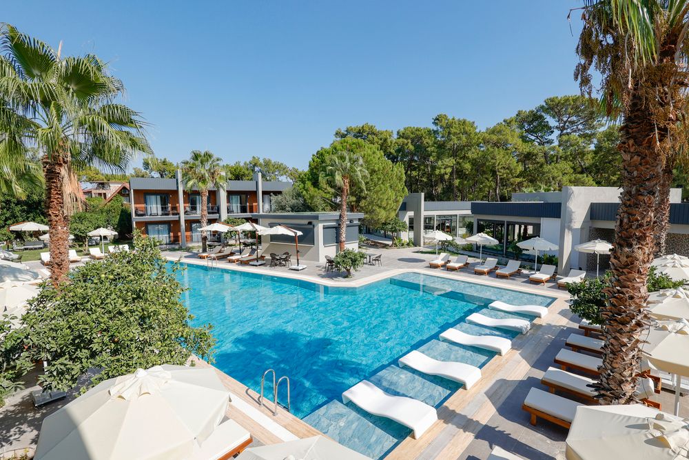 Картинка отеля - 6