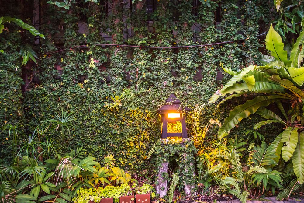 Картинка отеля - 11