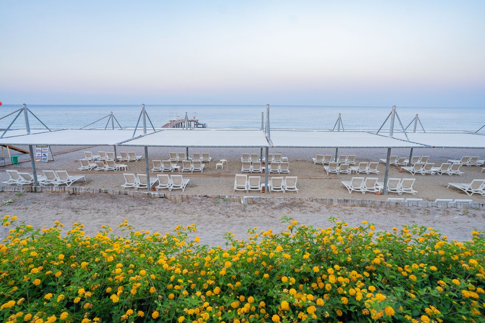 Картинка отеля - 17