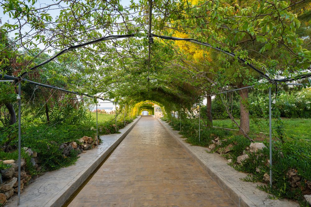 Master Family Club - 7