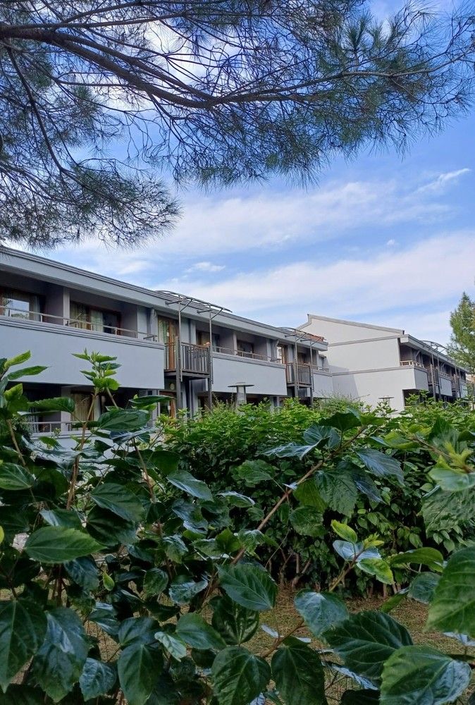 Картинка отеля - 3