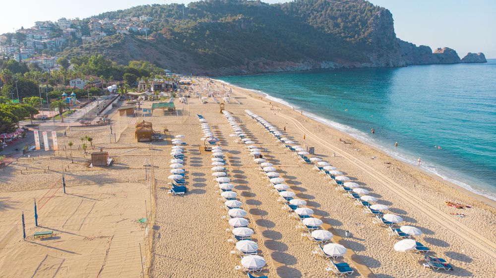 Villa Sunflower Hotel - 43