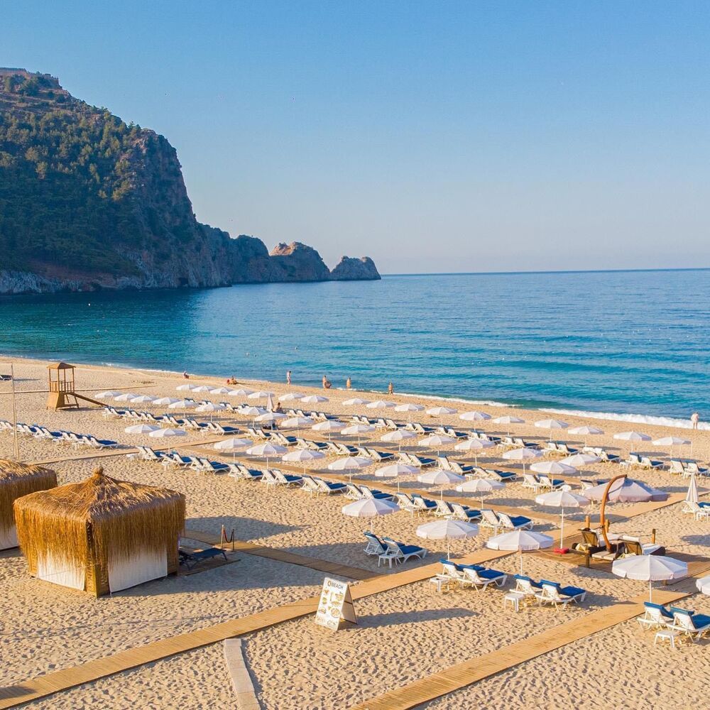 Villa Sunflower Hotel - 1