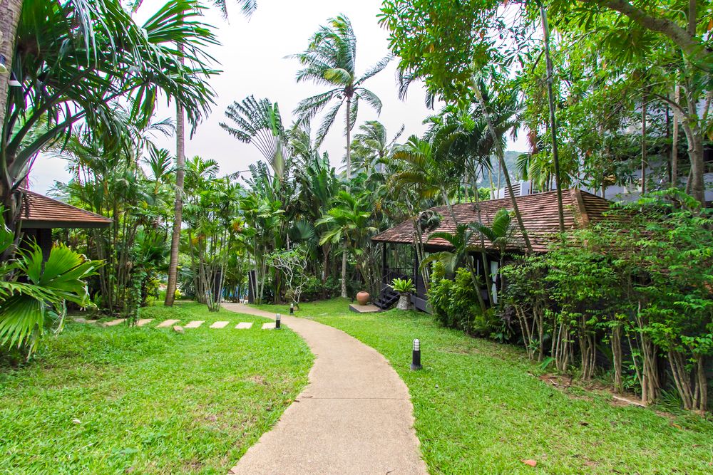 Картинка отеля - 64