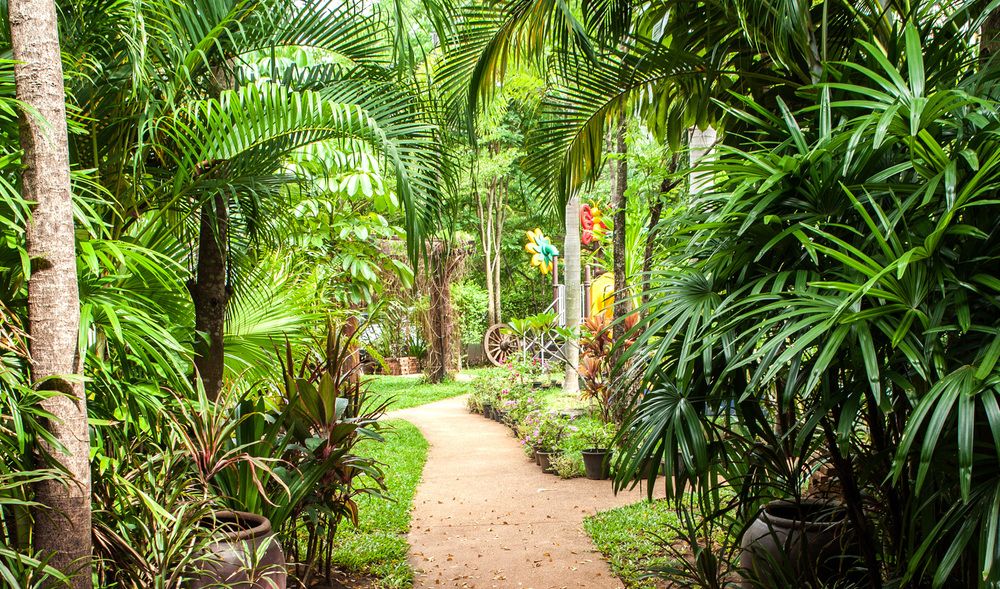 TIMBER HOUSE AO NANG - 8