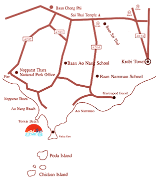 SAND SEA RESORT - 20